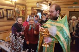 Неделя Ваий или Вербное воскресенье. Вход Госпо́день в Иерусали́м.