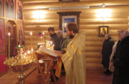 Рождество. Январь 2015.